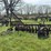 case-8’-disk-plow-image-10