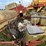 case-ih-400-image-13