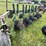 john-deere-3200-image-3