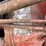 #2567-•-mccormick-farmall-560-gas-tractor-image-29