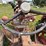 #2567-•-mccormick-farmall-560-gas-tractor-image-17