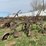 john-deere-16-image-3