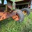 #2640-•-husty-225-gravity-box-image-14