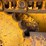 2001-deere-650h-lgp-image-11