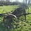 ihc-10ft-field-cultivator-image-7