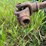 #2612-•-7'-john-deere-brush-mower-image-19