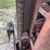 yale-forklift-image-33