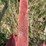 international-14-image-8