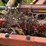 #2648-•-krause-20'-wing-disc-image-32