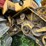 new-holland-tr86-image-34