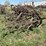 massey-harris-trail-field-cultivator-image-3