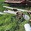 blizzard-no.-400-ensilage-blower-image-37