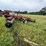 #2648-•-krause-20'-wing-disc-image-6