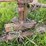 #2613-•-(10)-wheel-v-rake-image-15