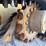 2018-caterpillar-299d2-xhp-image-10