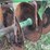 john-deere-tandem-disk-image-14