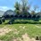 2018-sitrex-magnum-16-wheel-hay-rake-image-7