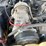 2003-ford-f350-image-20