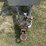 generac-t/a-towable-diesel-generator-image-6