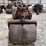 fordson-roller-image-8