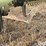 flex-king-xl-5-x-7-blade-plow-image-17
