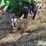 2006-john-deere-1770nt-image-13