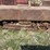 mccormick-deering-t20-crawler-image-46