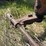 allis-chalmers-uc-image-16