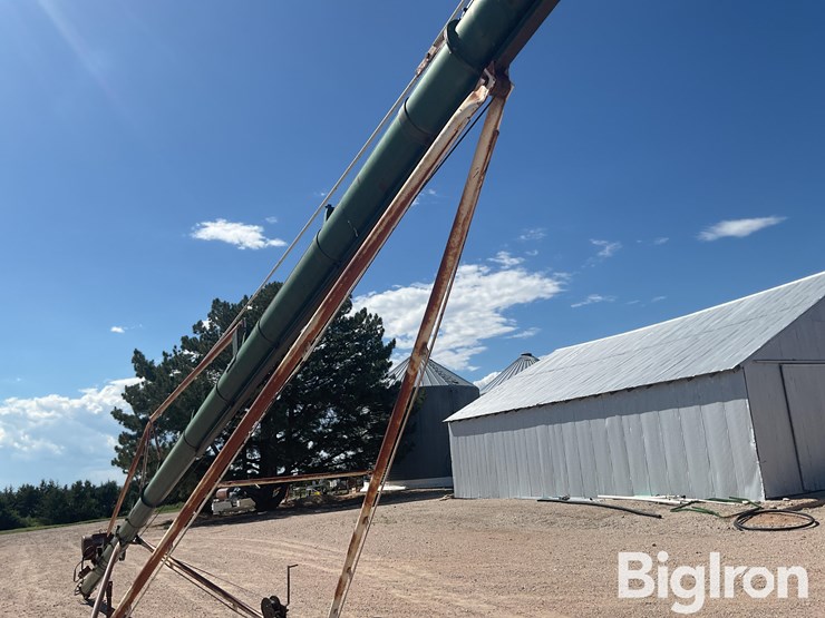 speed-king-8”-transfer-auger-image-19
