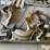 shop-tools-image-2