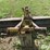 3-pt-blade-image-9