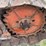 1935-allis-chalmers-wm-crawler-image-35