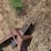 hay-trailer-image-14