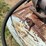 1957-american-steel-transfer-fuel-tank-image-13