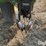 2006-john-deere-1770nt-image-20