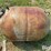 1957-anco-propane-tank-image-8