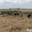 john-deere-1650-image-1
