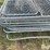 dog-kennel-image-10