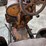 fordson-roller-image-31