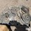 john-deere-1770-image-8