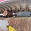 2022-takeuchi-tb225-image-46