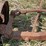 allis-chalmers-wf-image-15