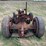 allis-chalmers-u-industrial-parts-tractor-image-4