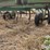 john-deere-1650-image-13