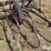 john-deere-field-cultivator-image-15