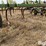 john-deere-1650-image-15