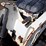 2021-bobcat-mt100-image-10