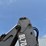 2007-volvo-bl70-image-39