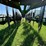 2018-sitrex-magnum-16-wheel-hay-rake-image-16