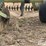 flex-king-xl-5-x-7-blade-plow-image-15
